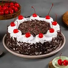 chocolate cake3.webp